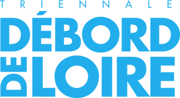 Logo de Débord de Loire